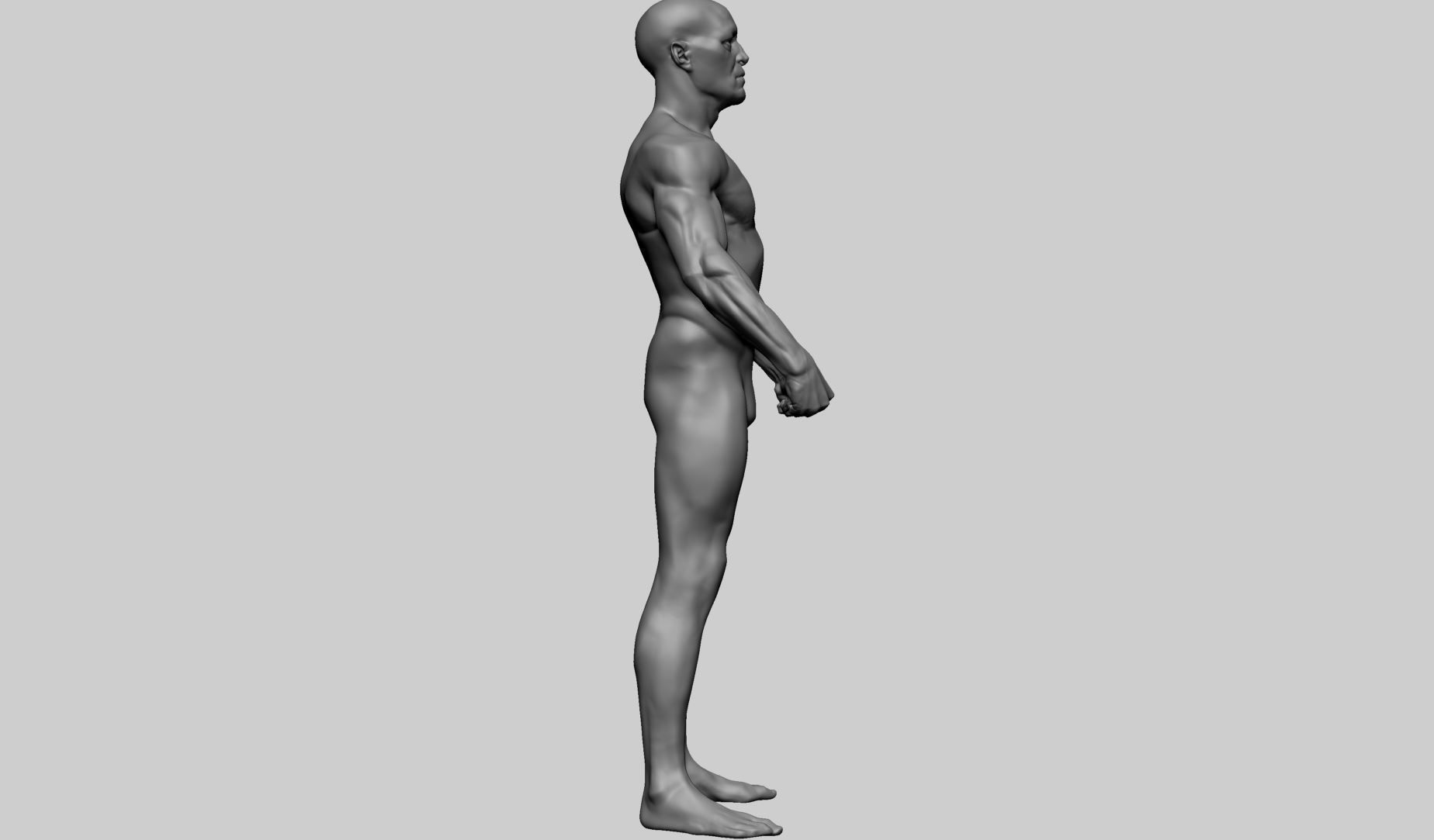 Male Anatomy 3D model_2