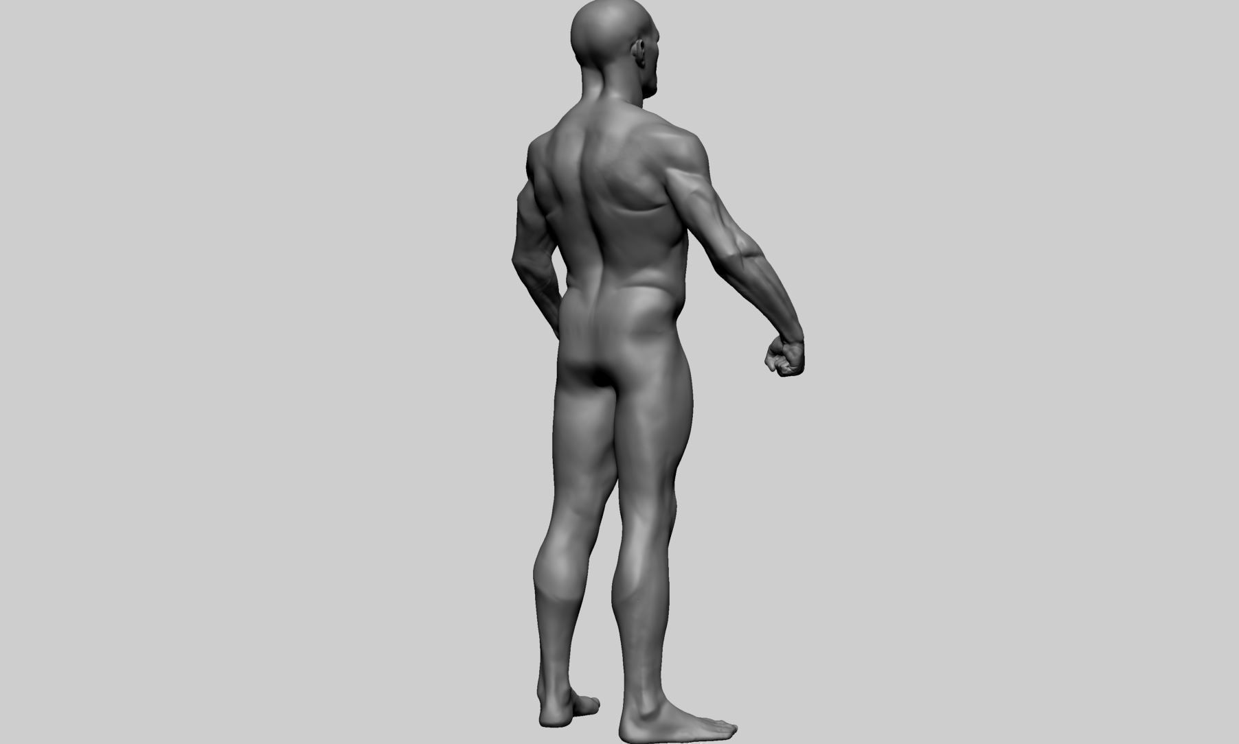 Male Anatomy 3D model_3