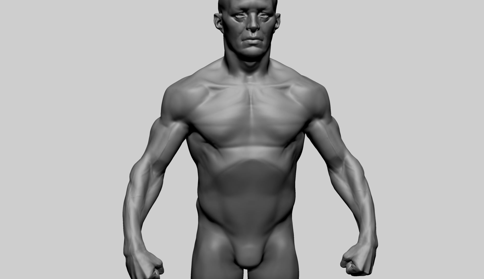 Male Anatomy 3D model_7
