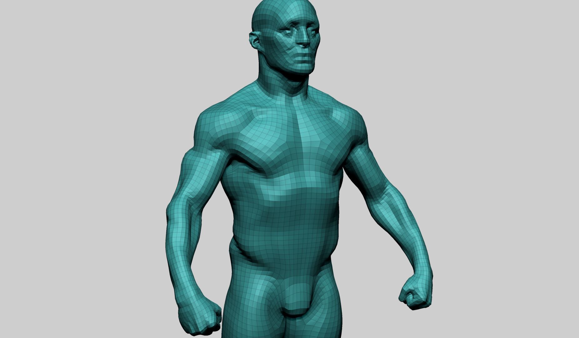 Male Anatomy 3D model_16