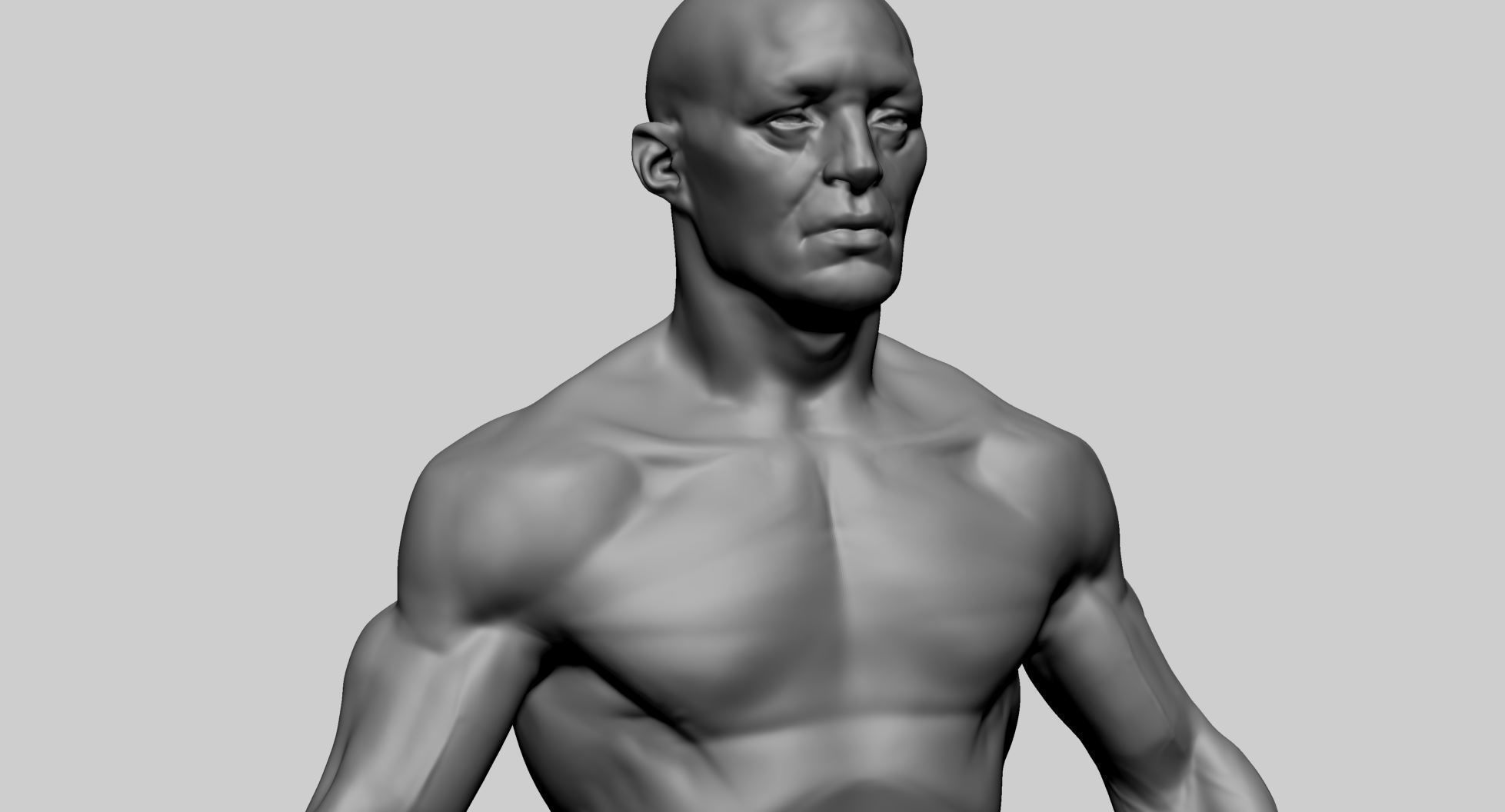 Male Anatomy 3D model_10