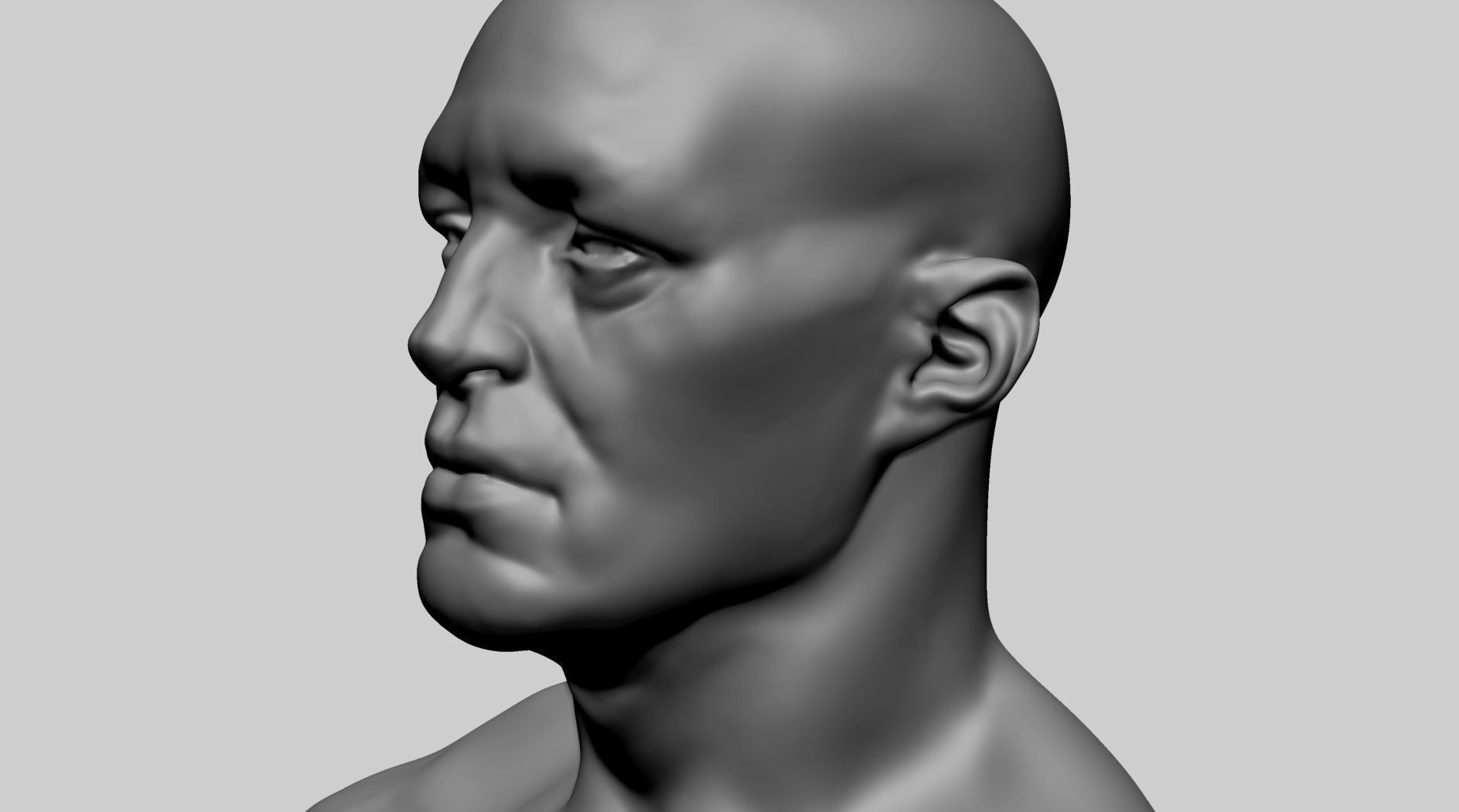 Male Anatomy 3D model_12