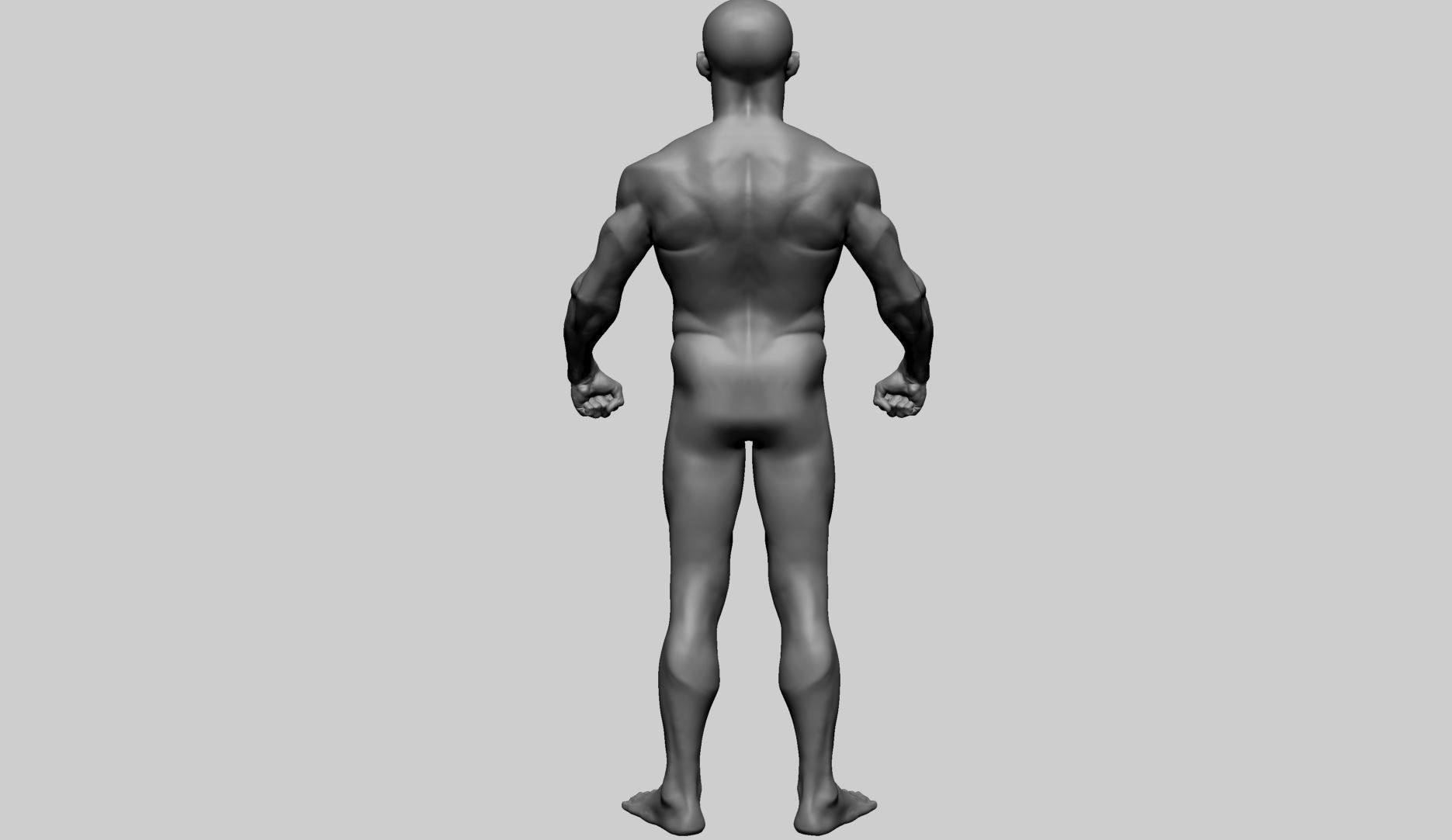 Male Anatomy 3D model_4