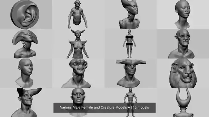 Various Male Female and Creature Models A 3D Model Collection