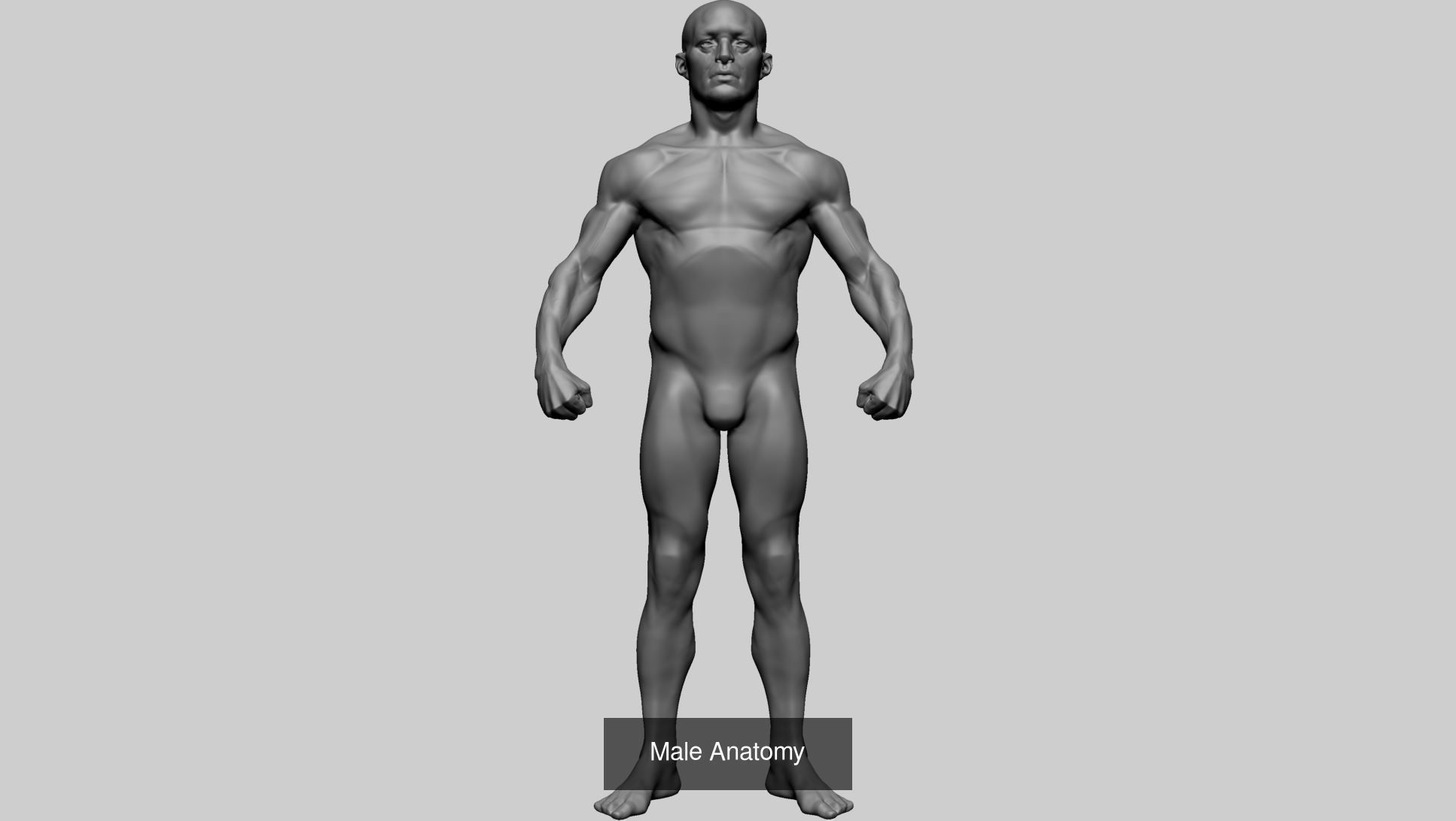 Various Male Female and Creature Models A 3D Model Collection_15