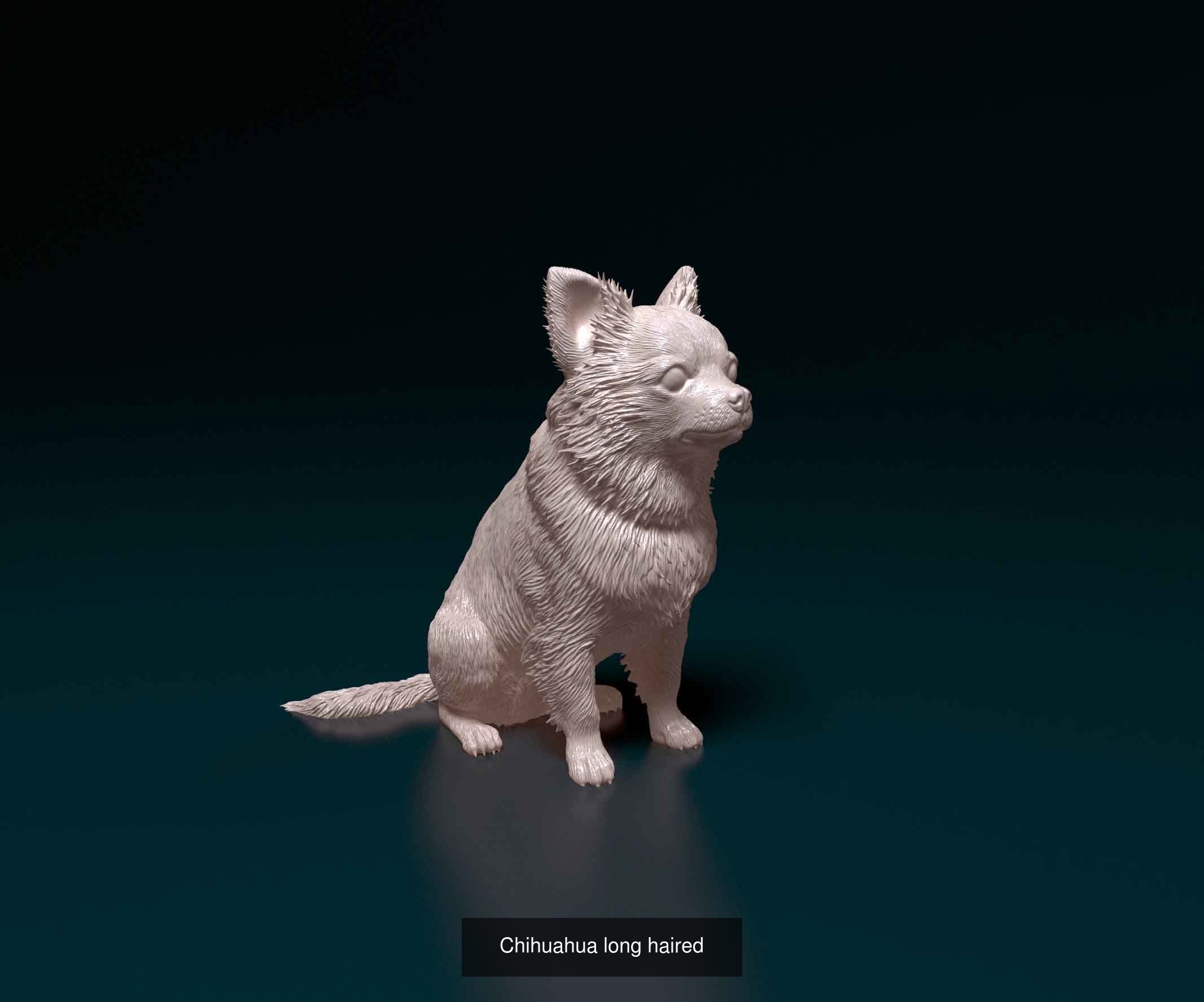 newusertoday collection dog statue _11