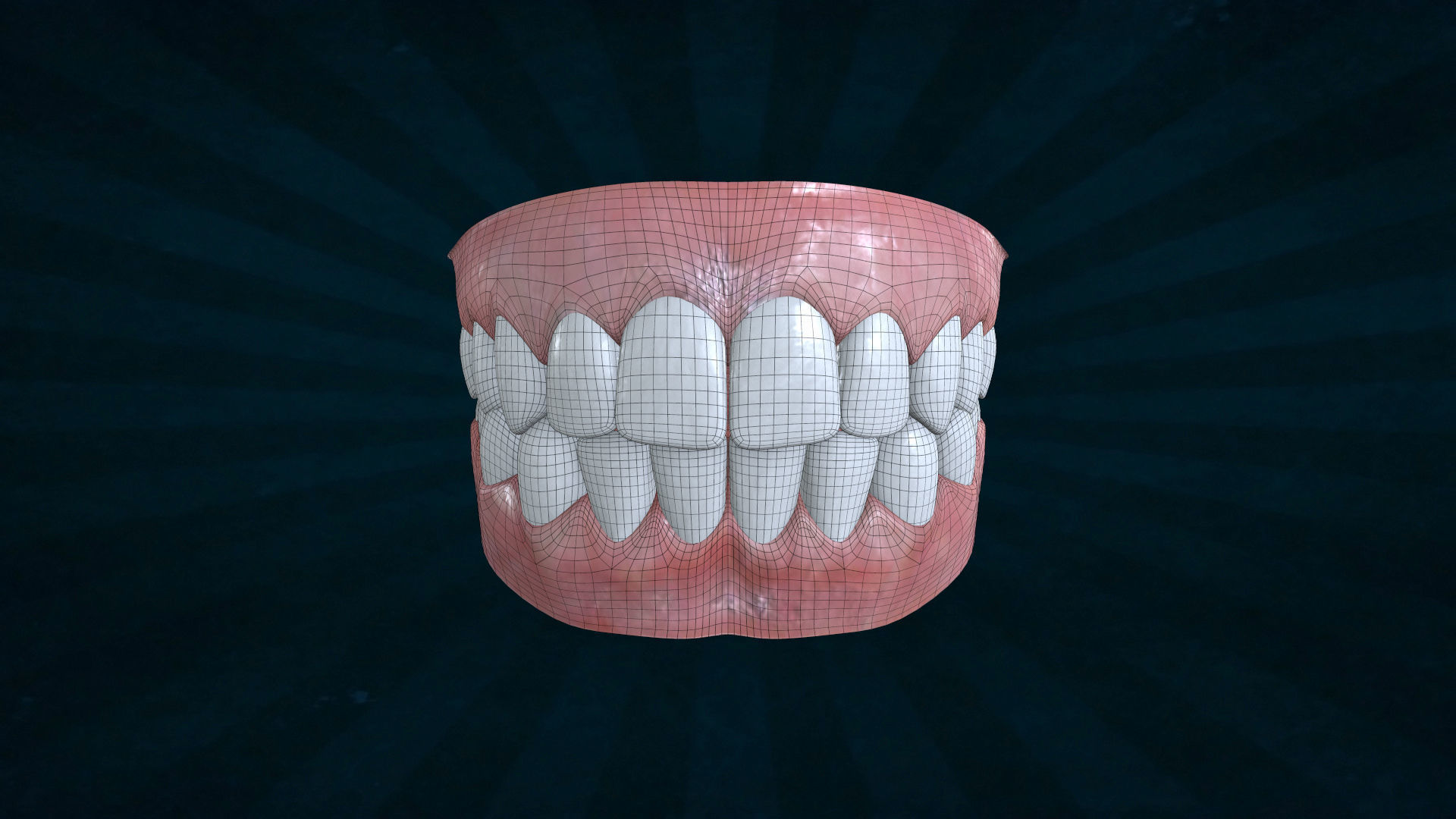 TETH-001 Rigged teeth 3D model_2