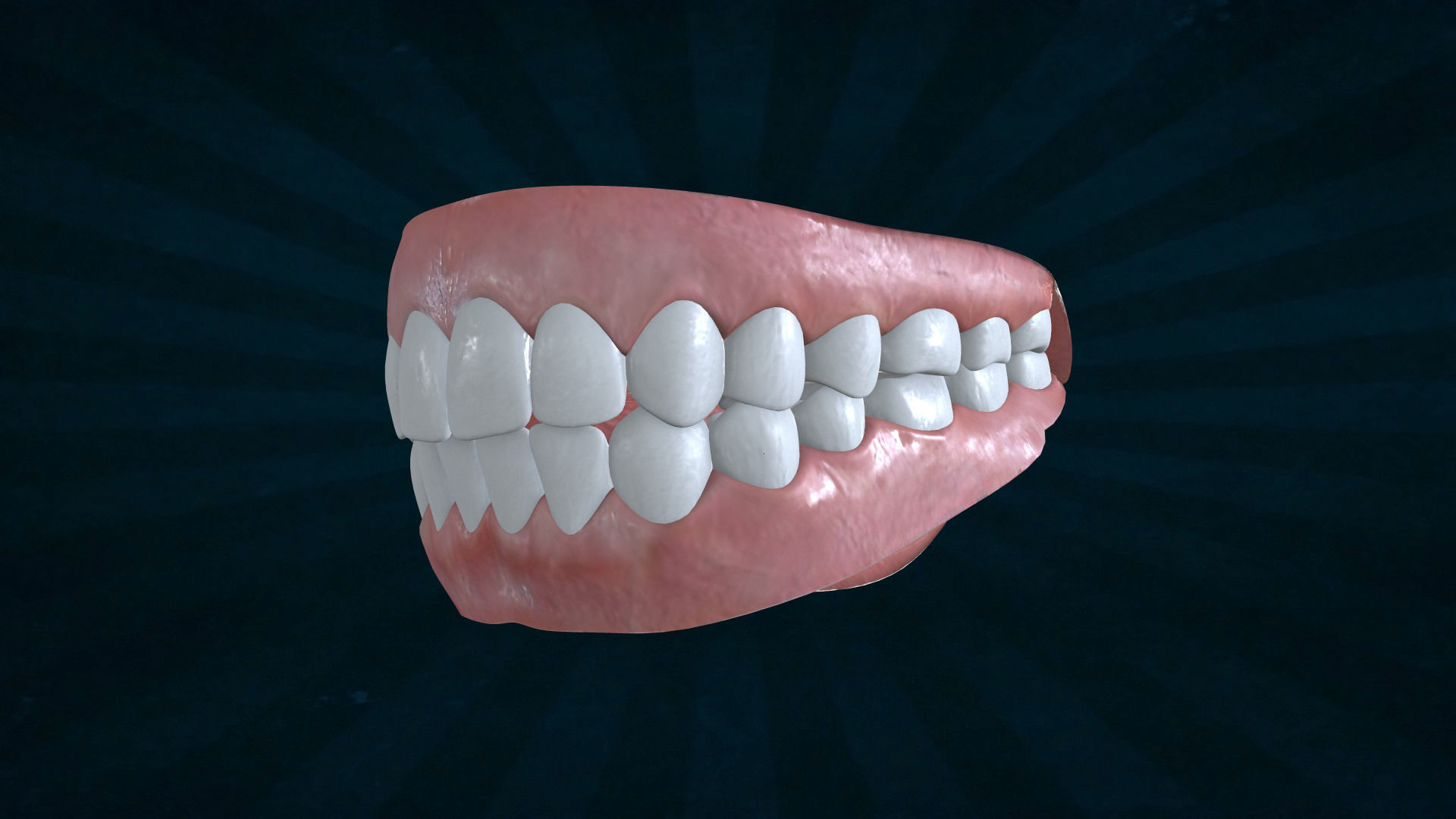 TETH-001 Rigged teeth 3D model_5