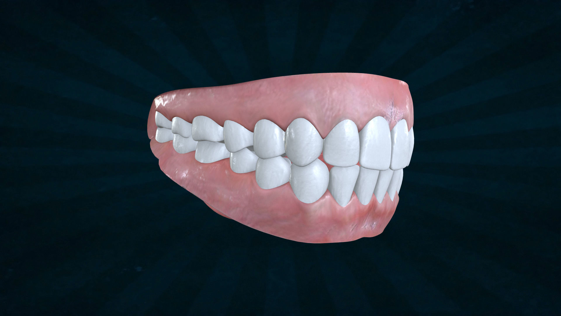 TETH-001 Rigged teeth 3D model_4