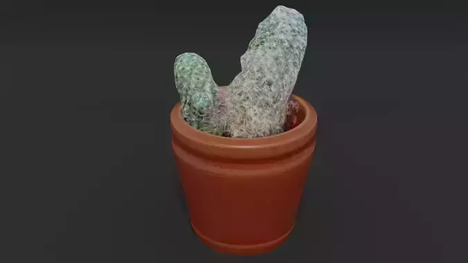 Potted Cactus Realistic Photoscan