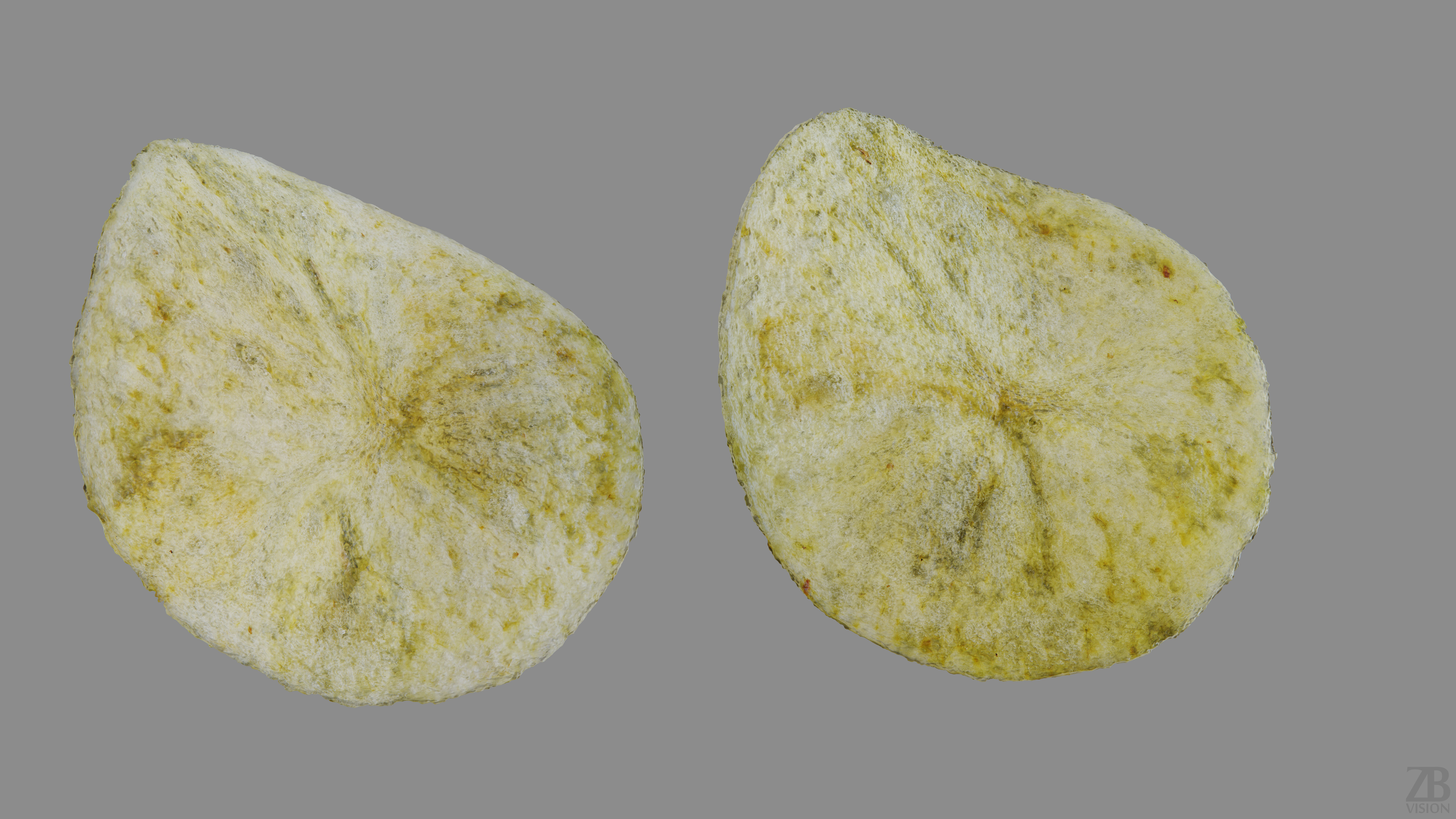 Potato Chips 3D model_9