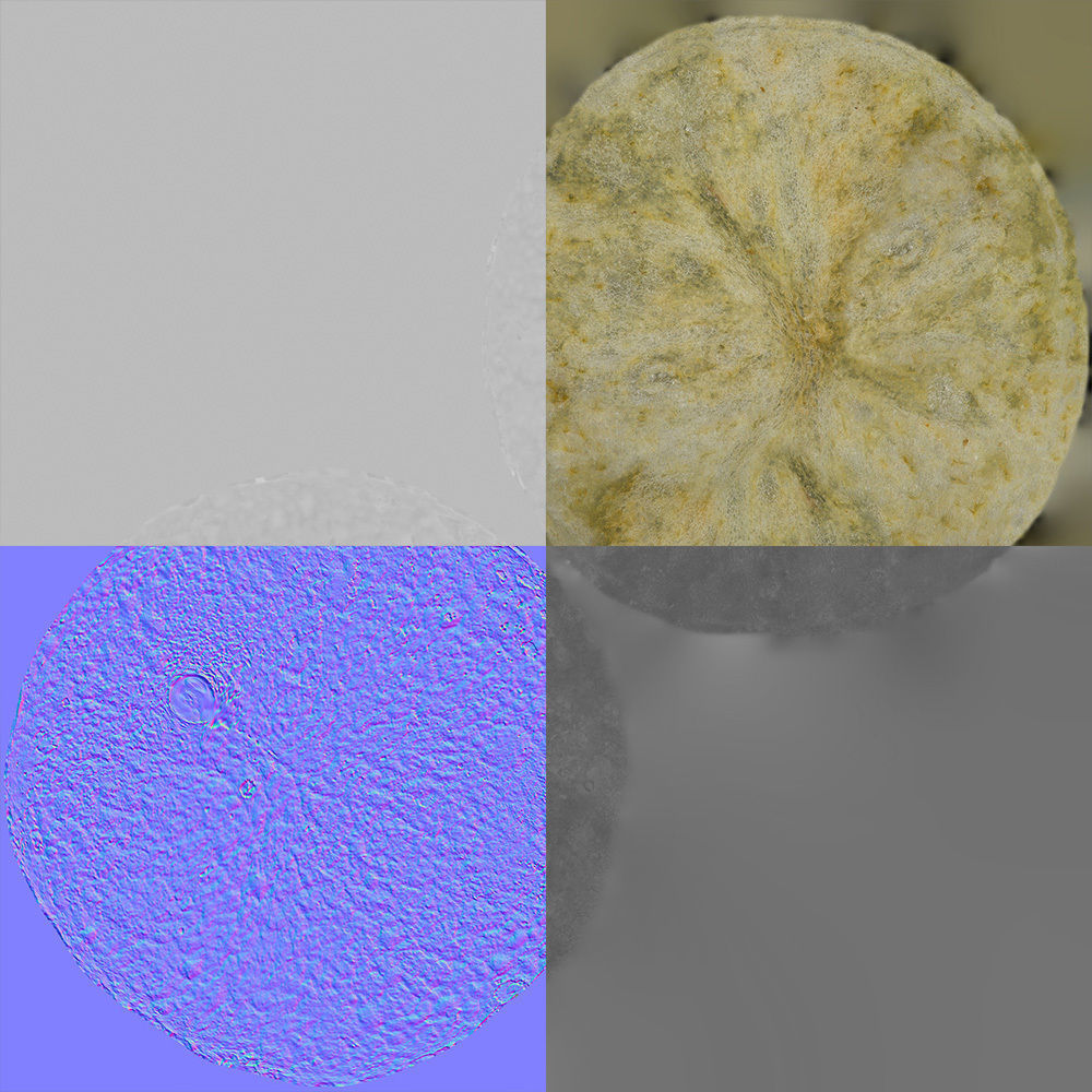 Potato Chips 3D model_8