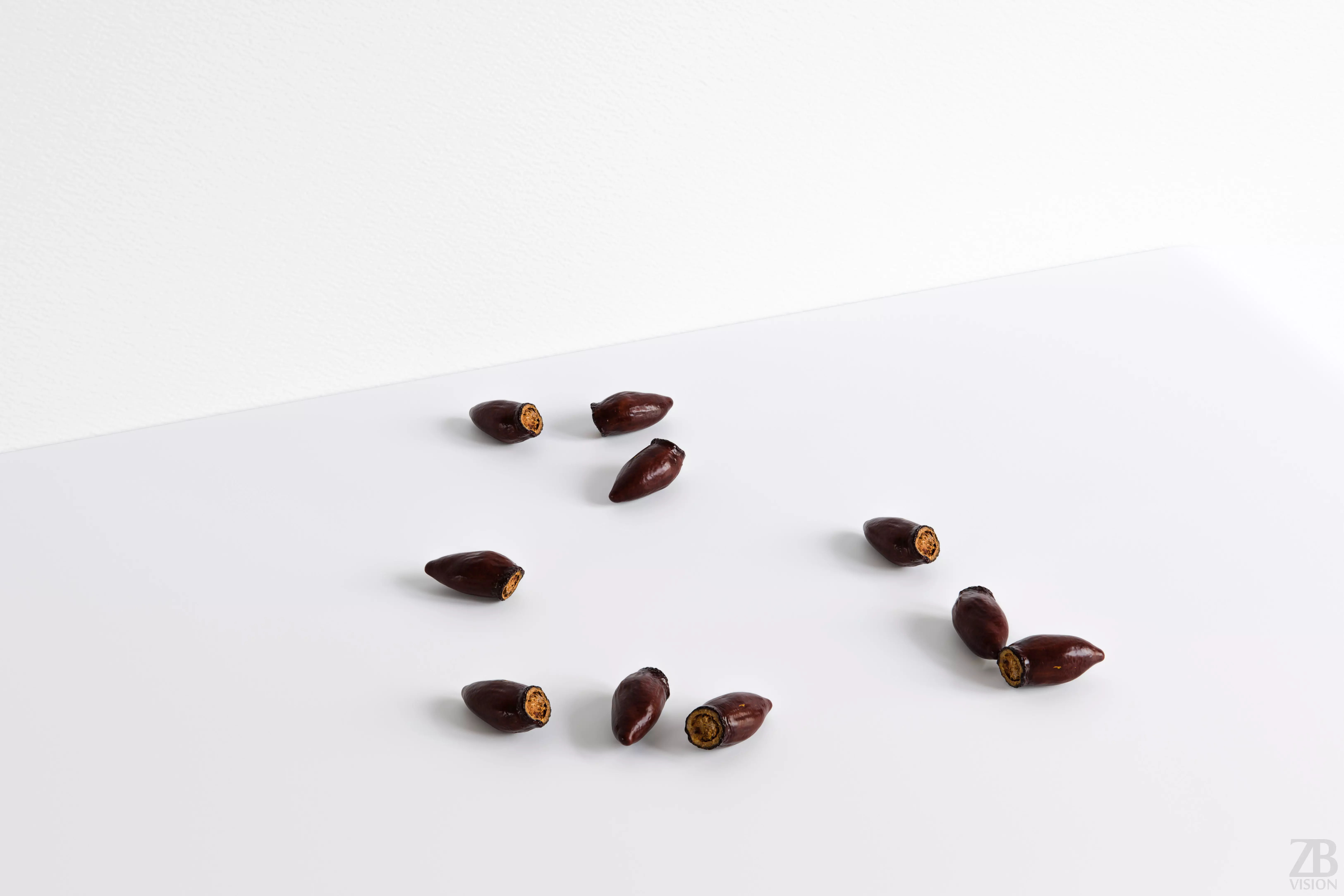 Lychee Seed 3D model