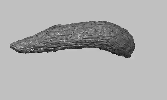 R tail hedgehog head