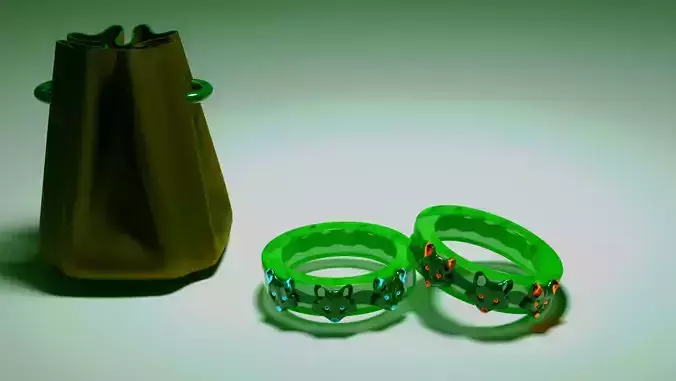 Bag and rings