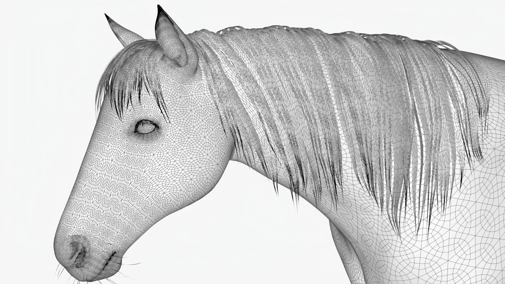 Lowpoly brown Horse Low-poly 3D model_6