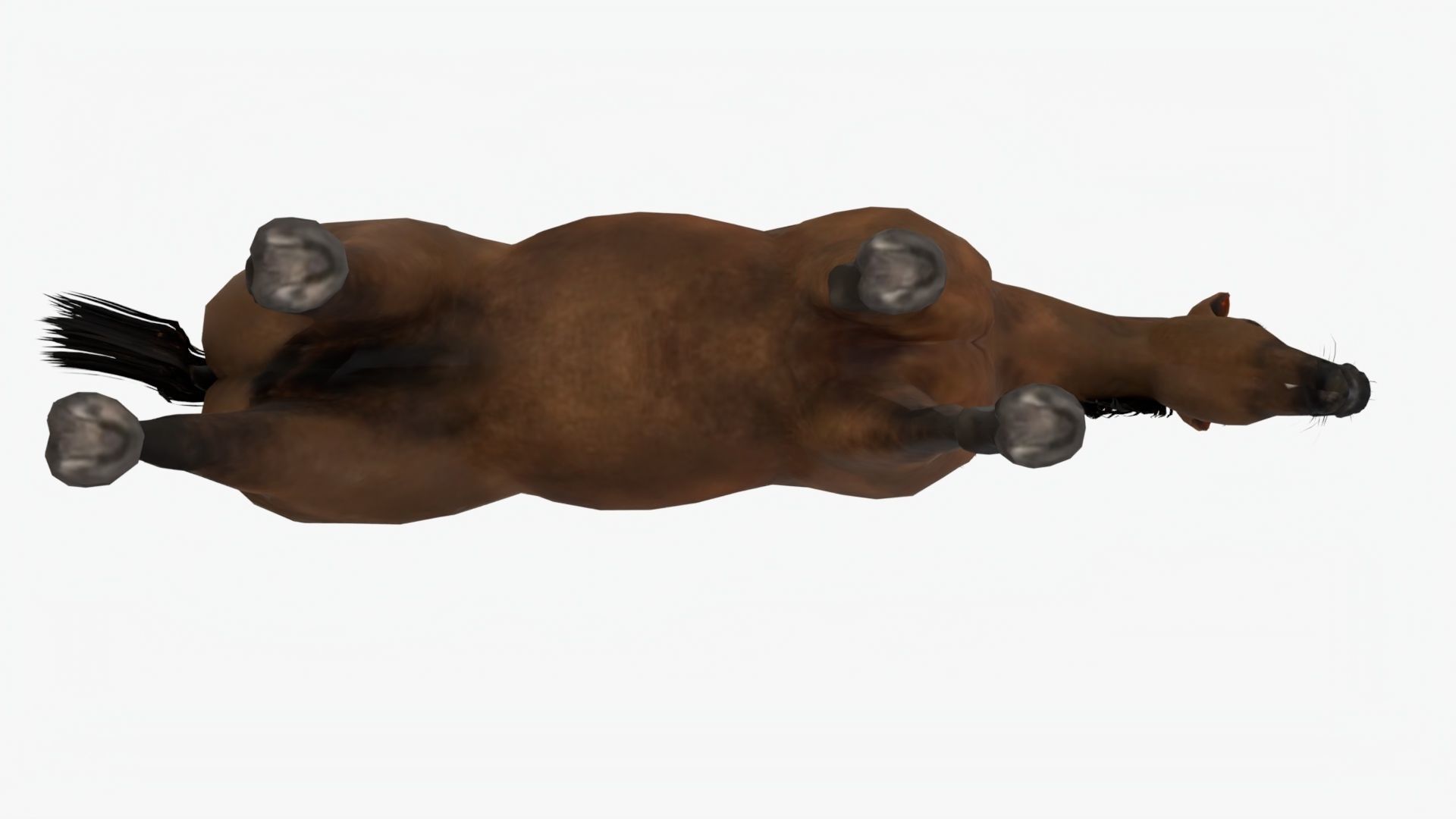 Lowpoly brown Horse Low-poly 3D model_5