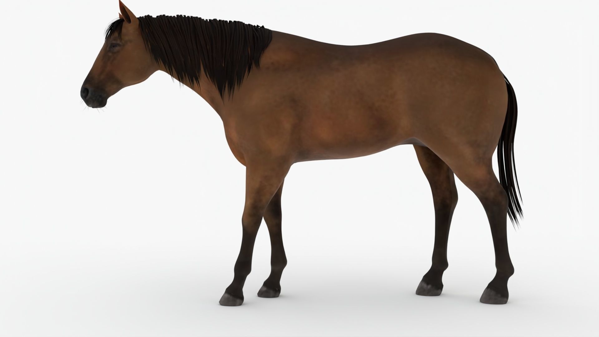 Lowpoly brown Horse Low-poly 3D model_1