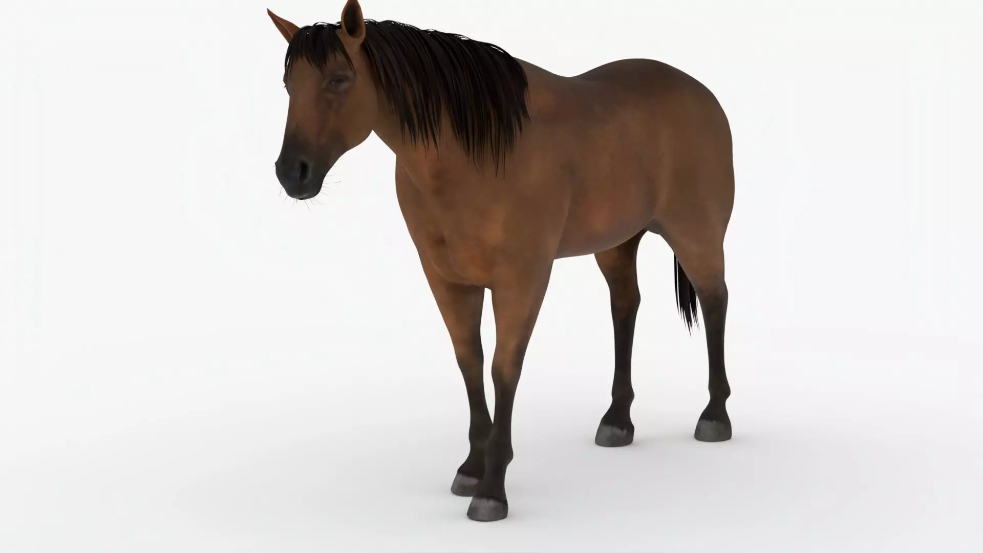 Lowpoly brown Horse Low-poly 3D model_0