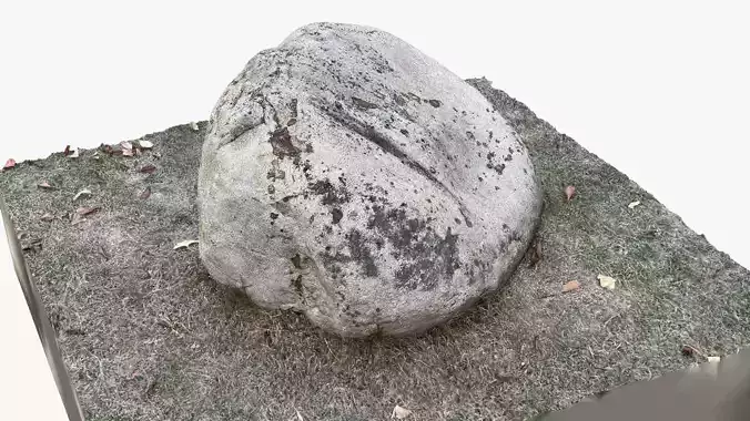 Rock 3d scan