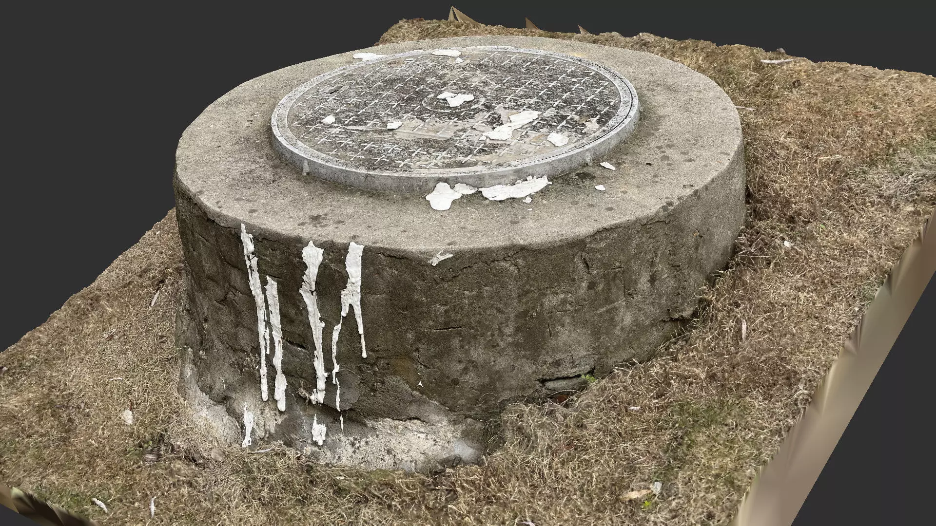 Manhole 3d Scan 3D model_0