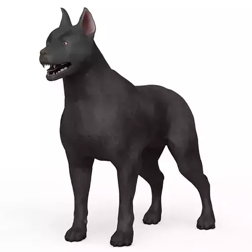 Black Dog Low-poly 3D model