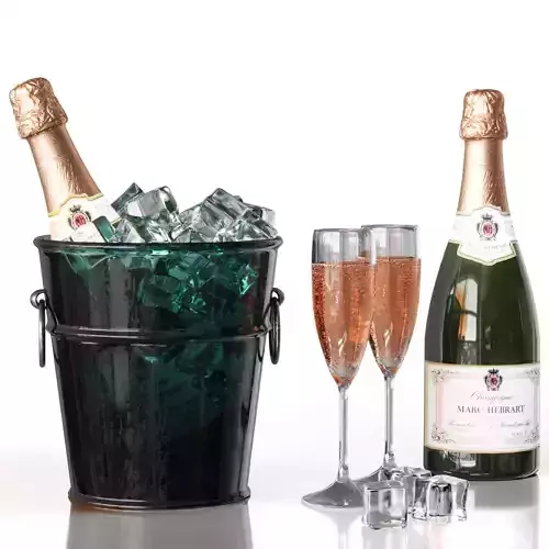 Champagne in a bucket with ice