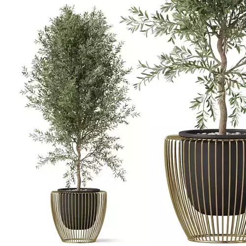 Plants collection 856 3D model