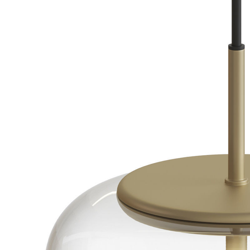 Blossi Pendant Light 3D model_1