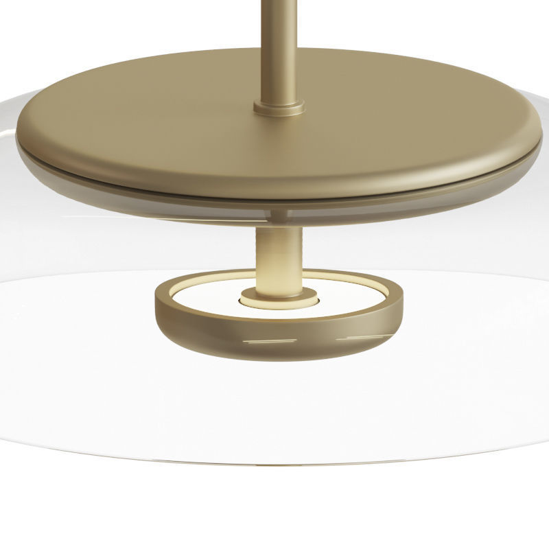 Blossi Pendant Light 3D model_3