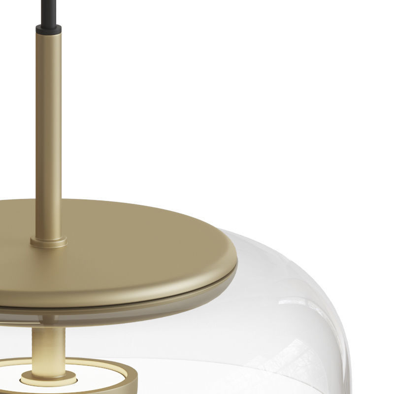 Blossi Pendant Light 3D model_2