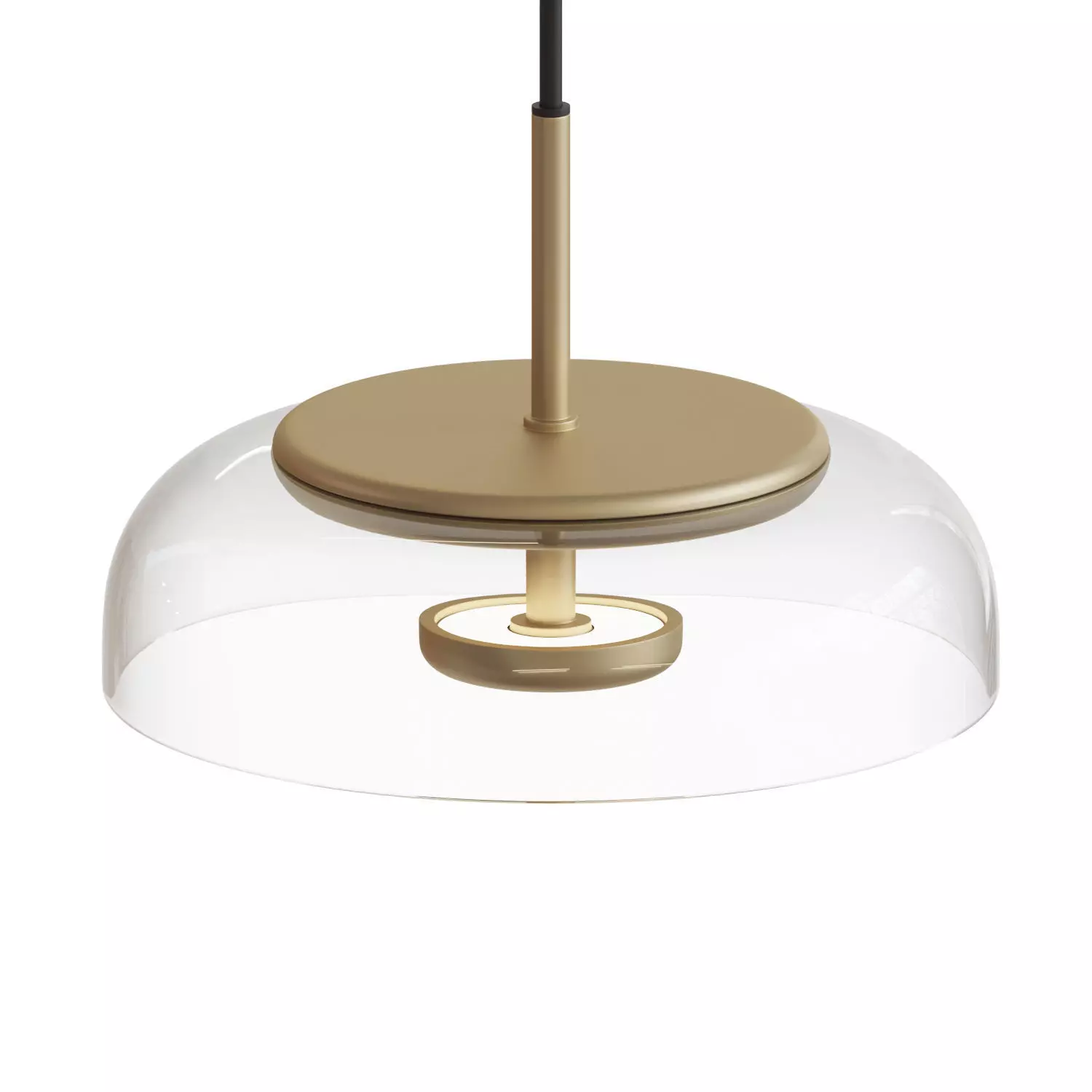 Blossi Pendant Light 3D model_0