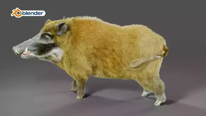 Fur Wild Boar V05 Rigged and Animation