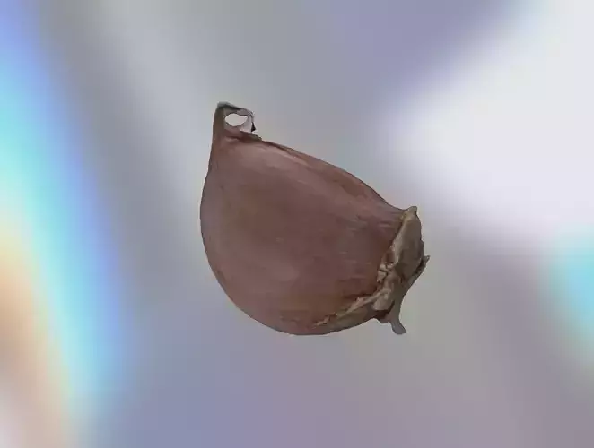Garlic clove 3D model