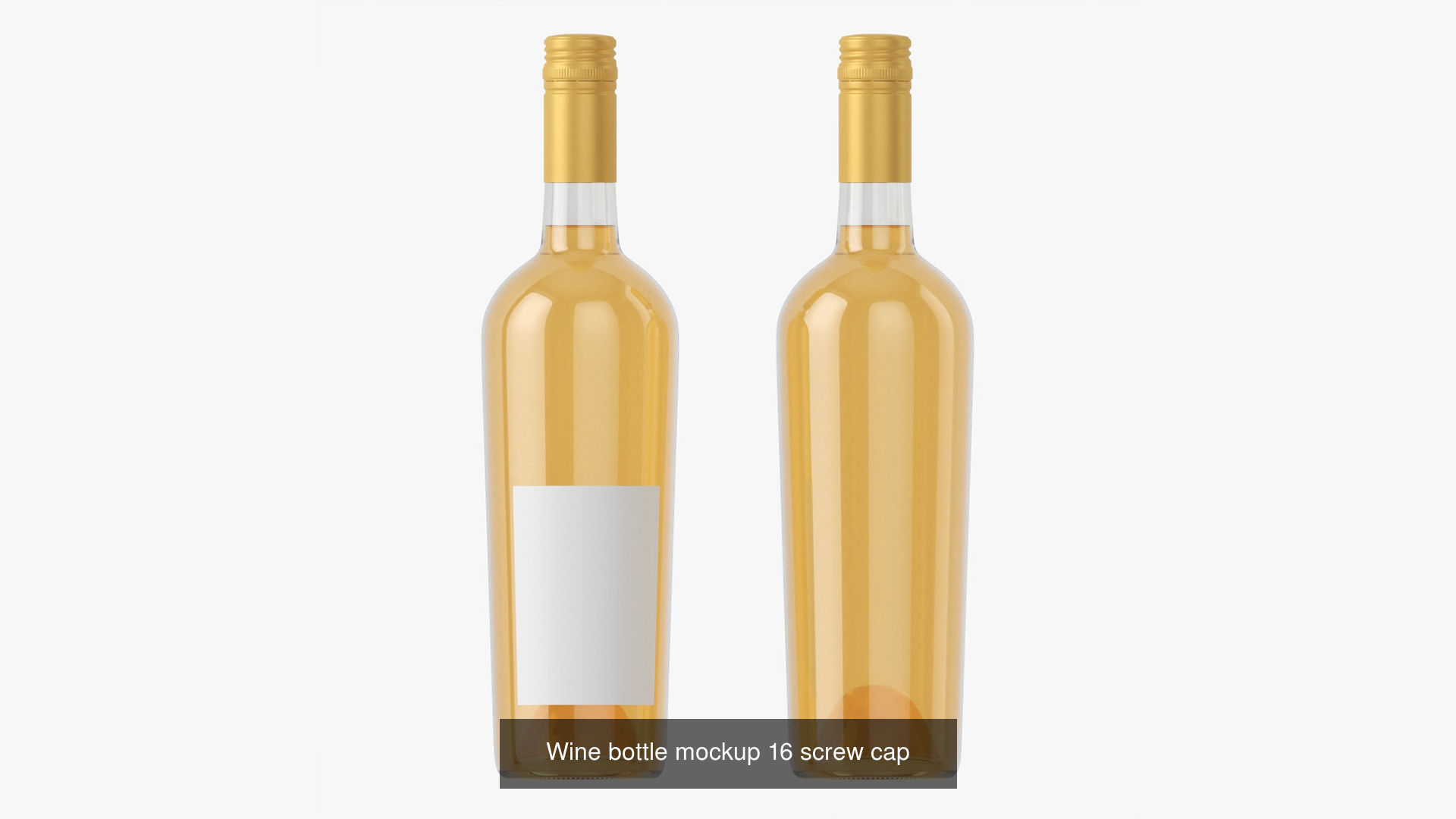 Blank Wine Bottles for Mockup 3D Model Collection_18
