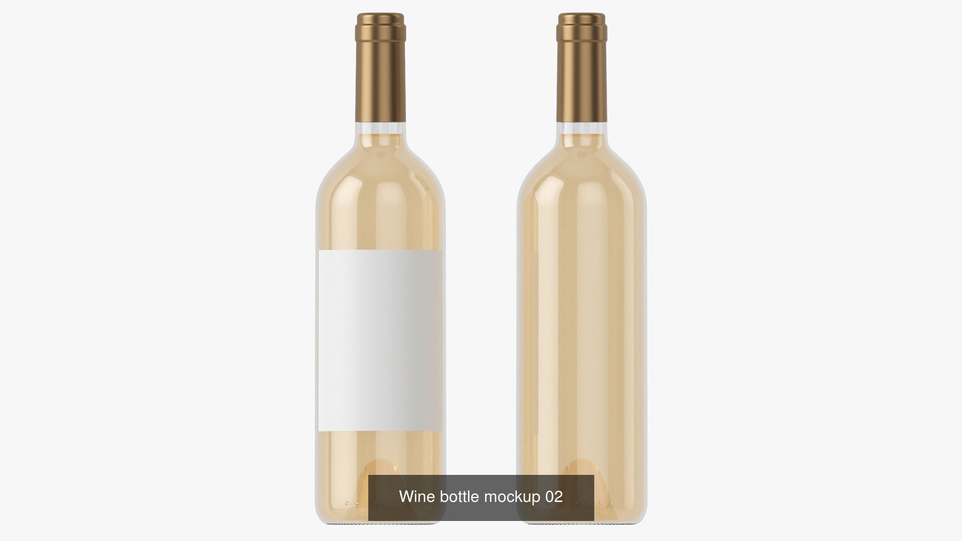 Blank Wine Bottles for Mockup 3D Model Collection_2