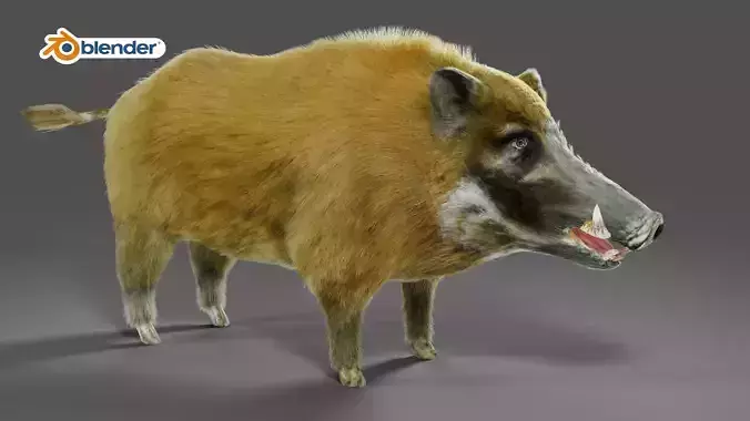 Fur Wild Boar V05 NO Rigged