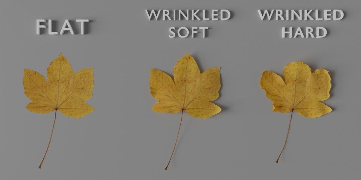 Autum Leavs - Photorealistic Wrinkled Leaves Low-poly 3D model_7