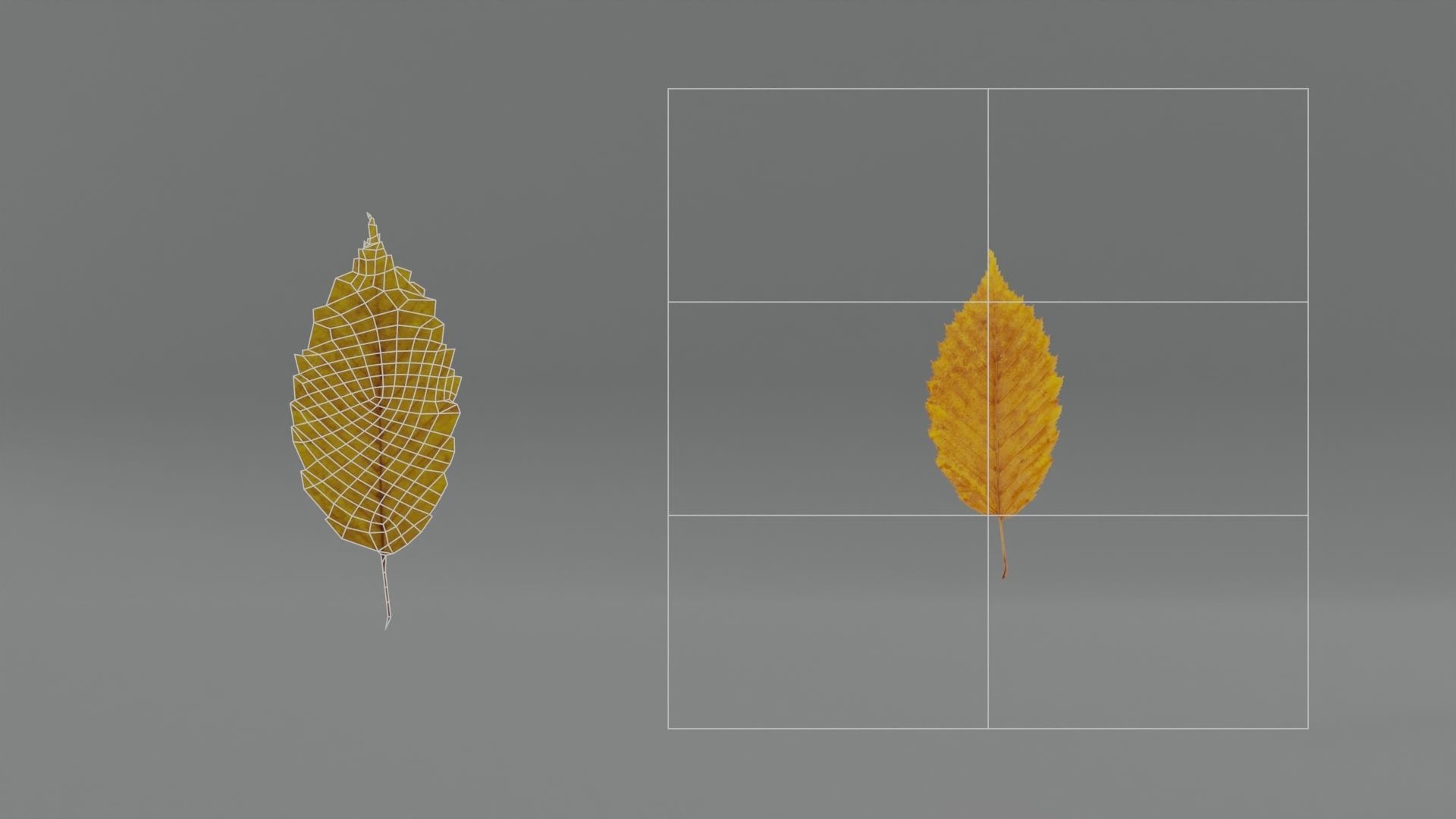 Autum Leavs - Photorealistic Wrinkled Leaves Low-poly 3D model_8