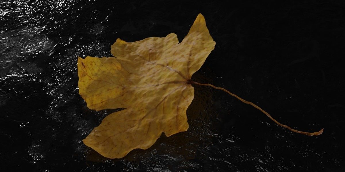 Autum Leavs - Photorealistic Wrinkled Leaves Low-poly 3D model_9