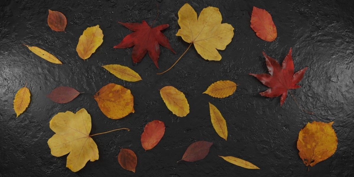 Autum Leavs - Photorealistic Wrinkled Leaves Low-poly 3D model_4