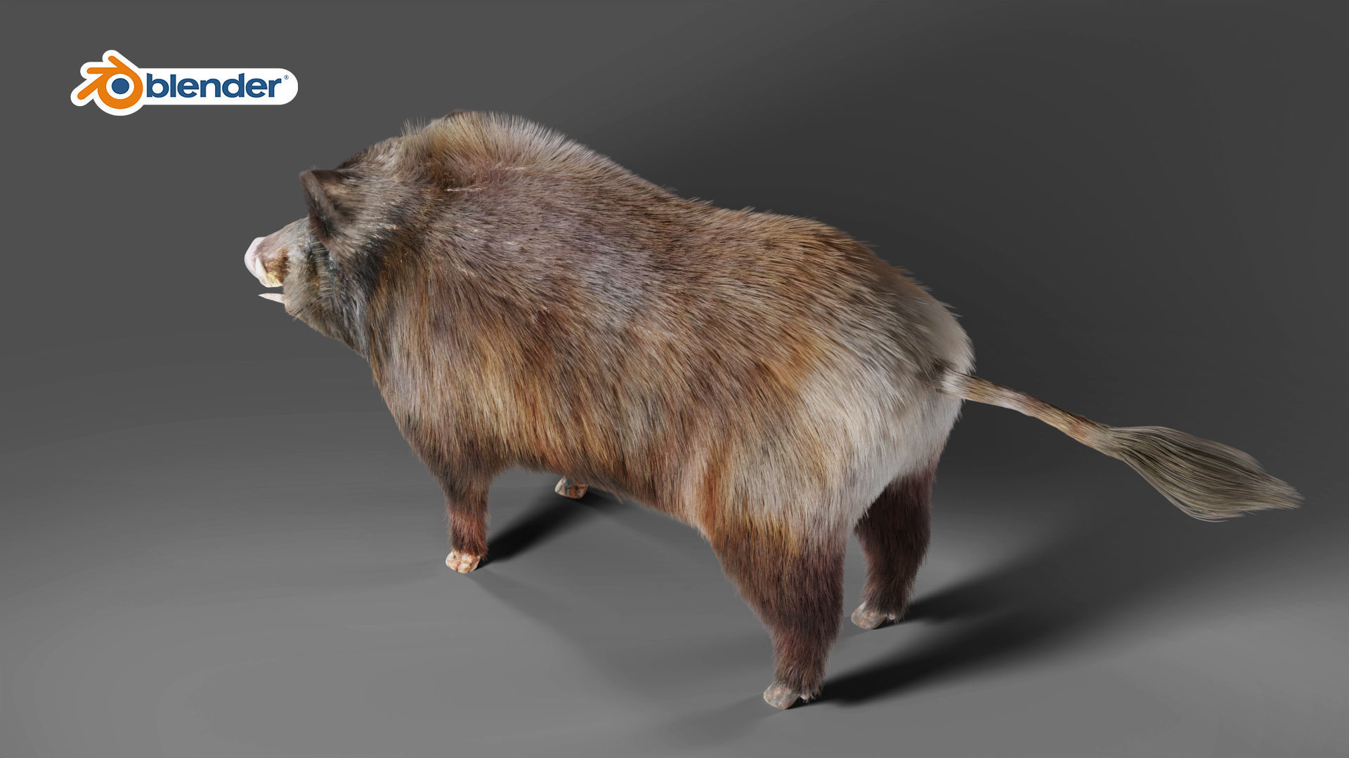 Fur Wild Boar V06 Rigged and Animation Low-poly 3D model_8
