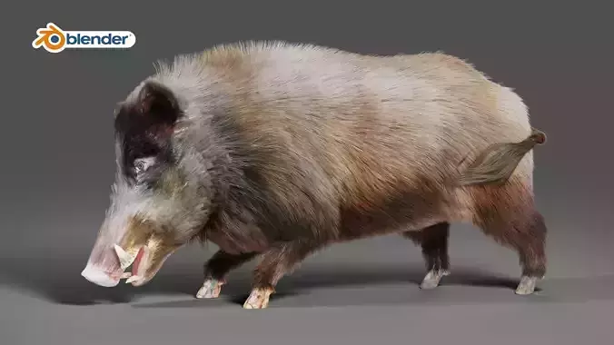 Fur Wild Boar V06 Rigged and Animation
