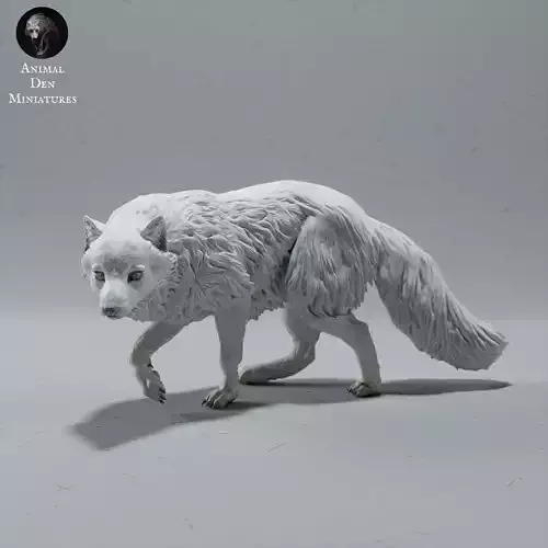 Arctic Fox 3D print model