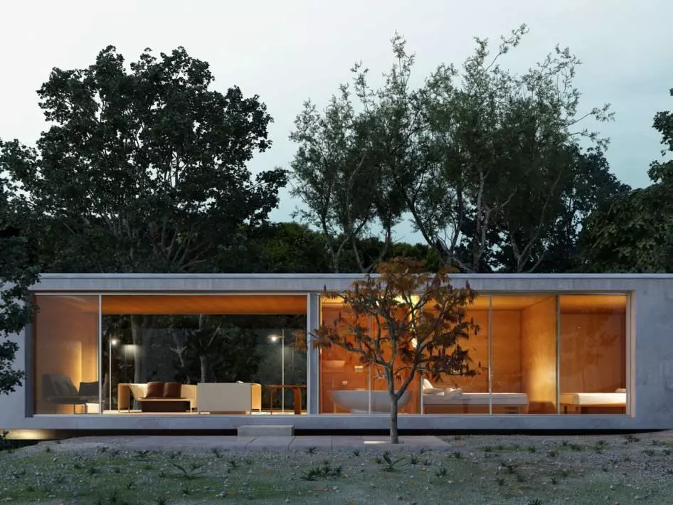 Modern House Exterior with Posh Lighting 3D model_0