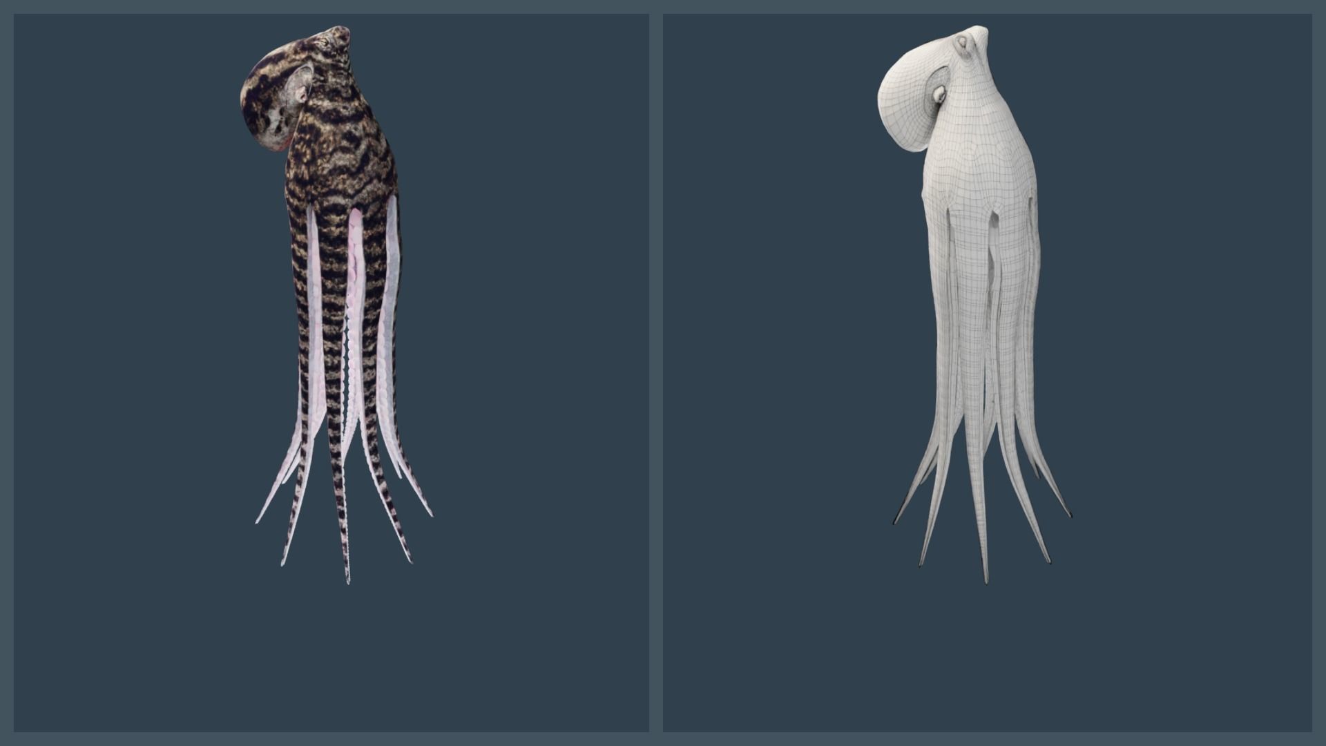 Animated Mimic Octopus Low-poly 3D model_22