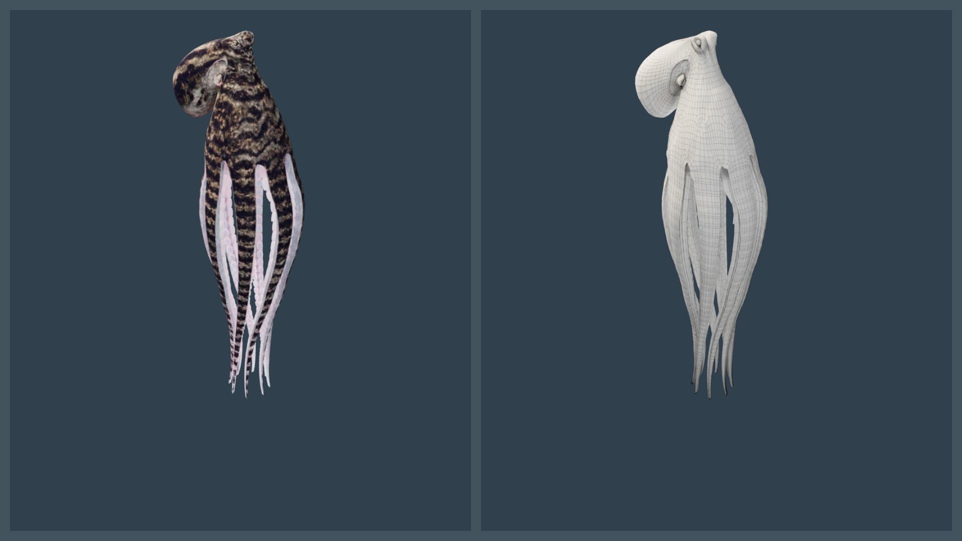 Animated Mimic Octopus Low-poly 3D model_10