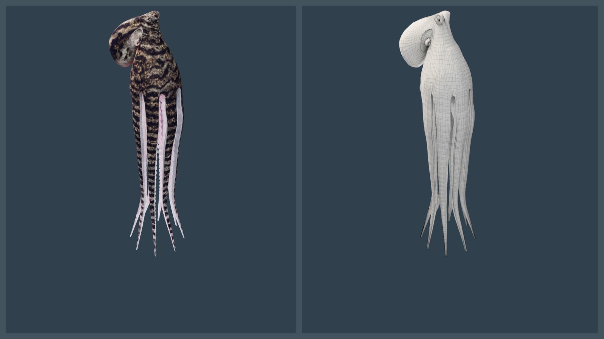 Animated Mimic Octopus Low-poly 3D model_8