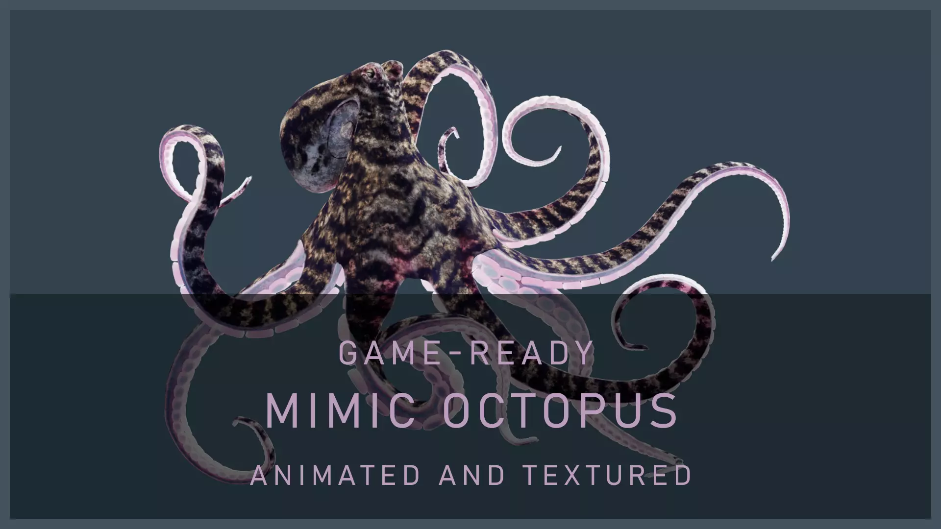 Animated Mimic Octopus Low-poly 3D model_0
