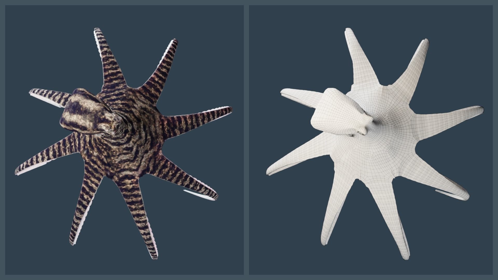 Animated Mimic Octopus Low-poly 3D model_7